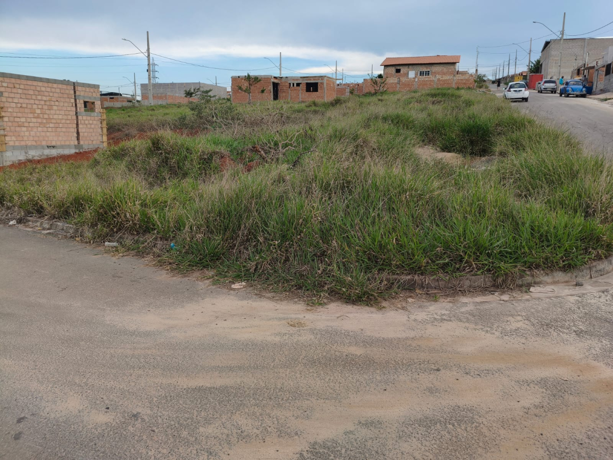 frente