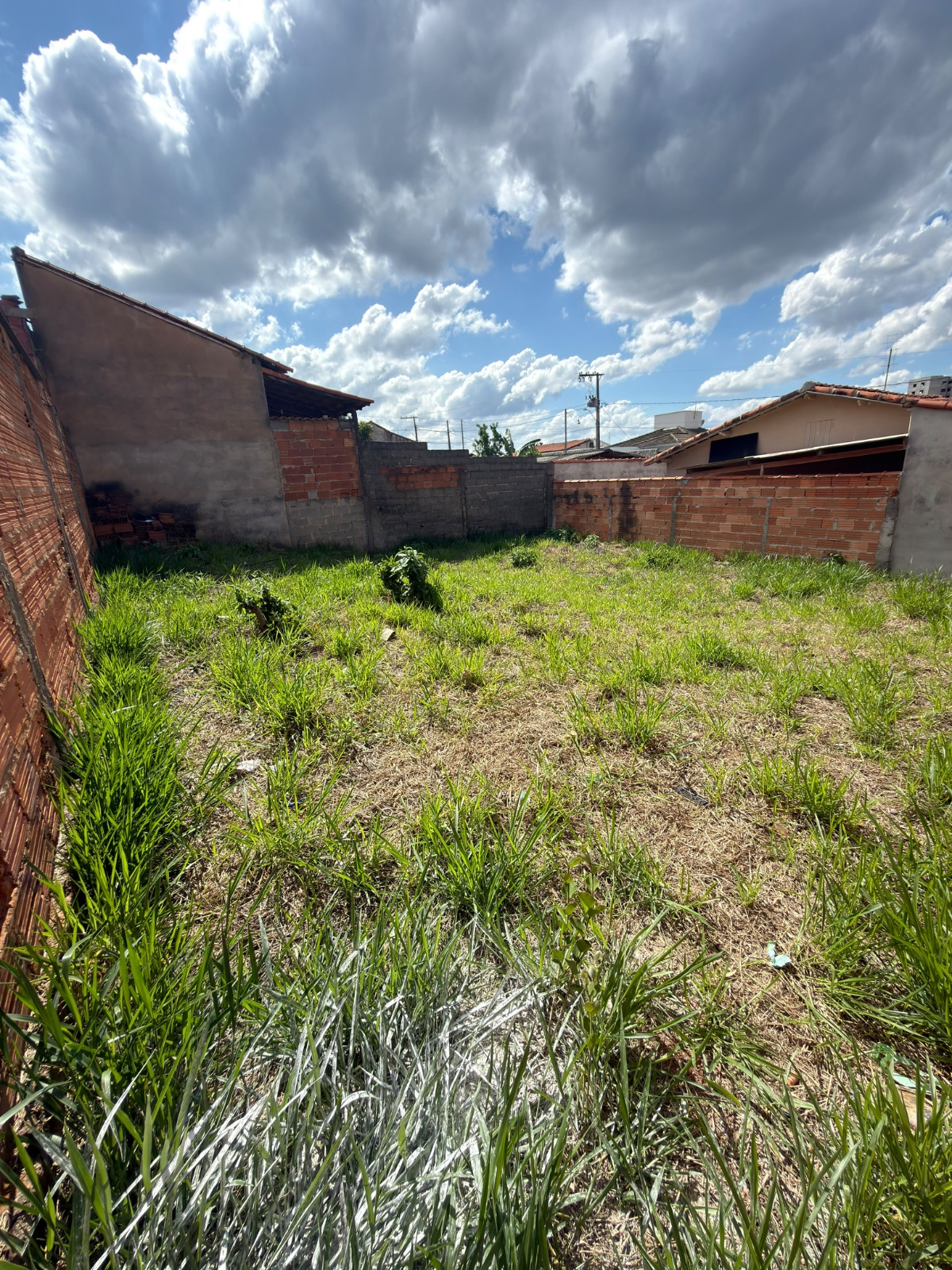 frente