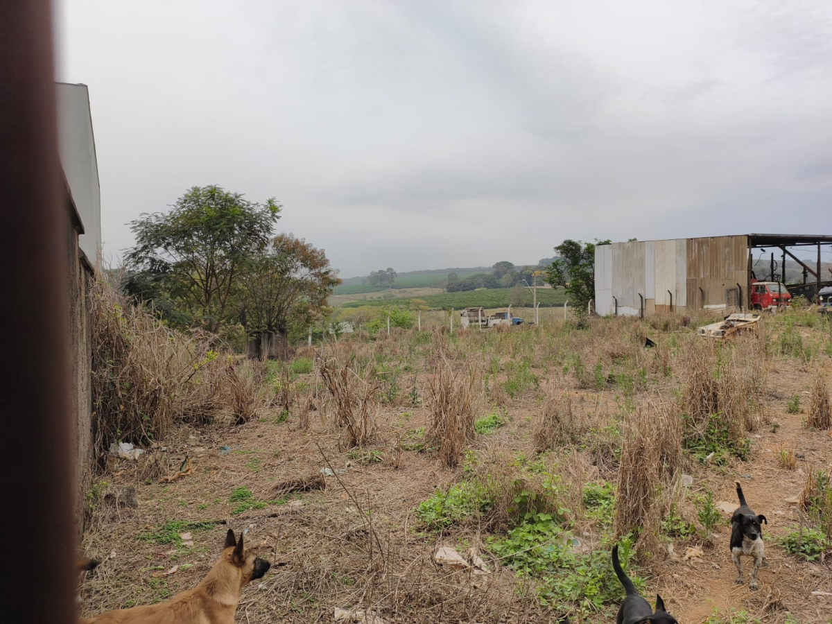 vista lote